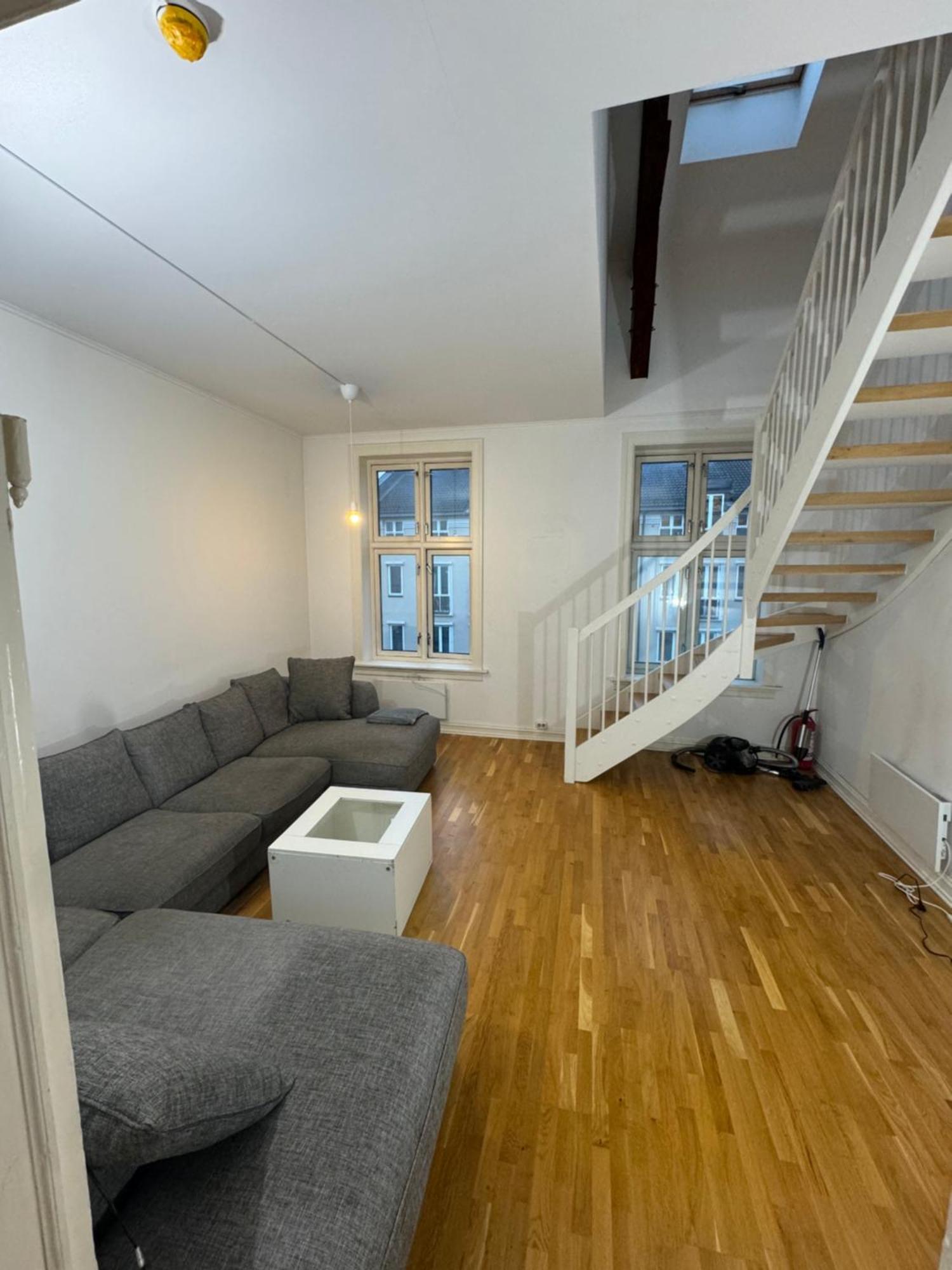 Romslig I Sentrum Grunerlokka Apartment *