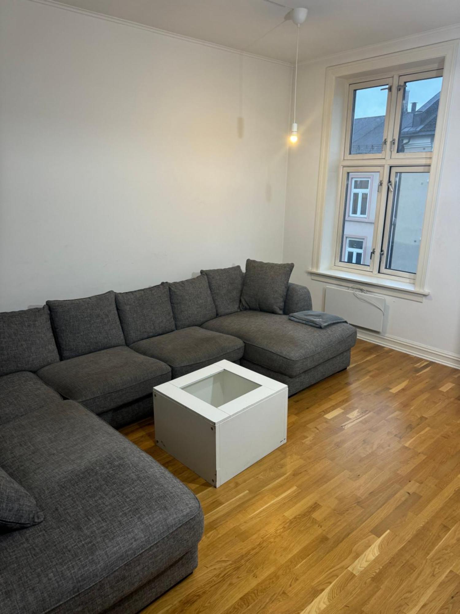 Romslig I Sentrum Grunerlokka Apartment Oslo