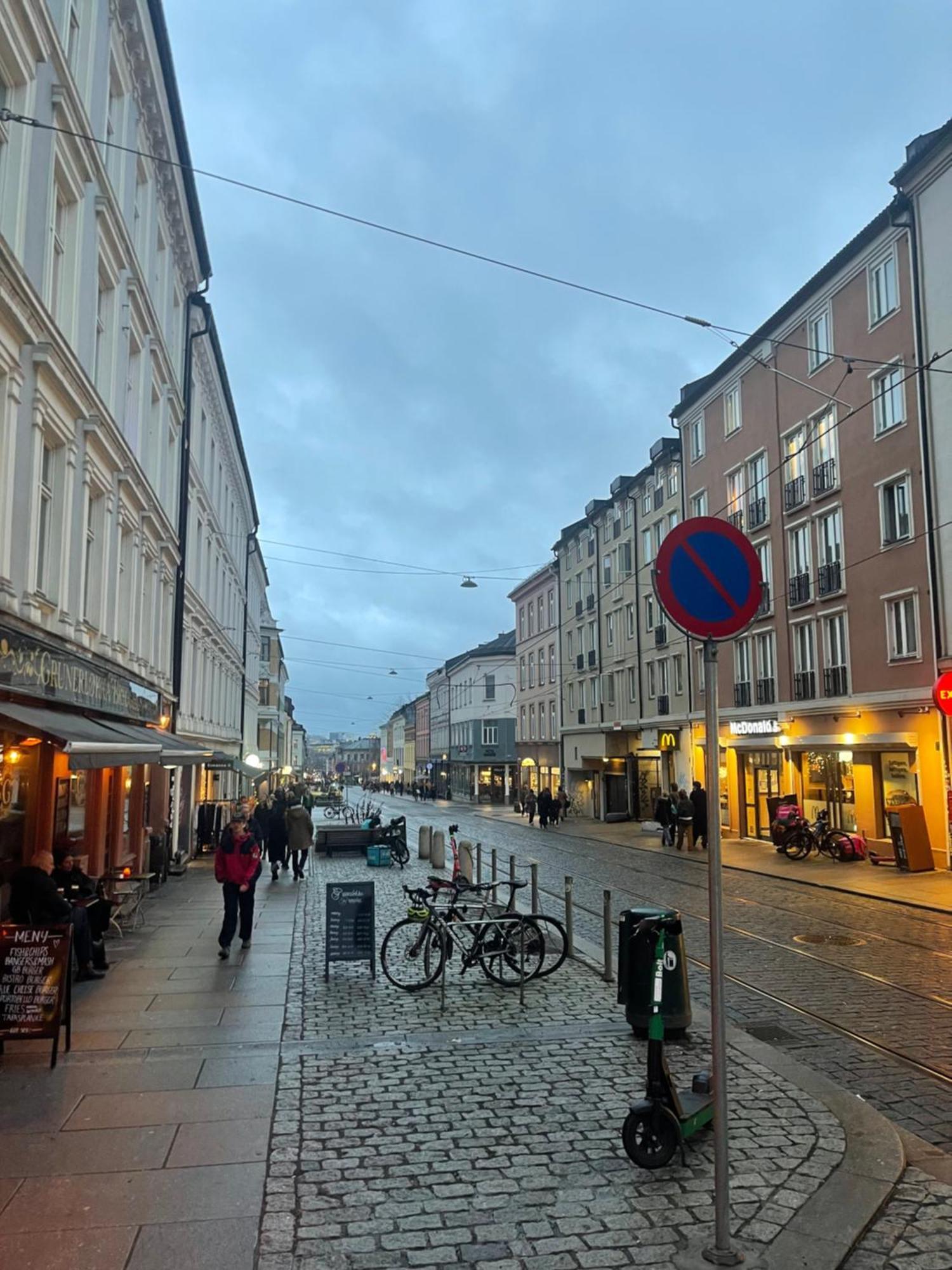 Romslig I Sentrum Grunerlokka Oslo